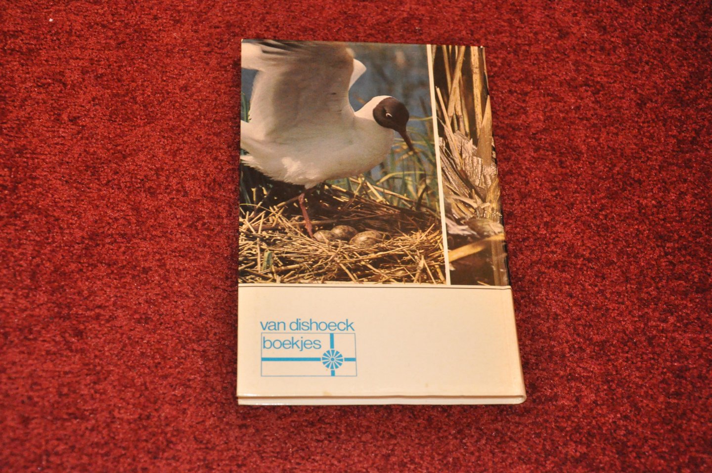 Jong de, M. - Vogelnesten en eieren