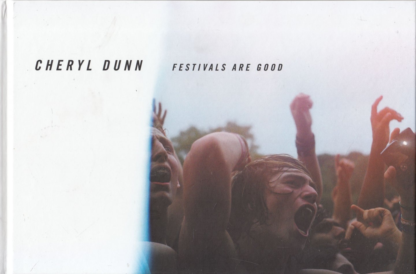 Dunn, Cheryl - Festivals Are Good