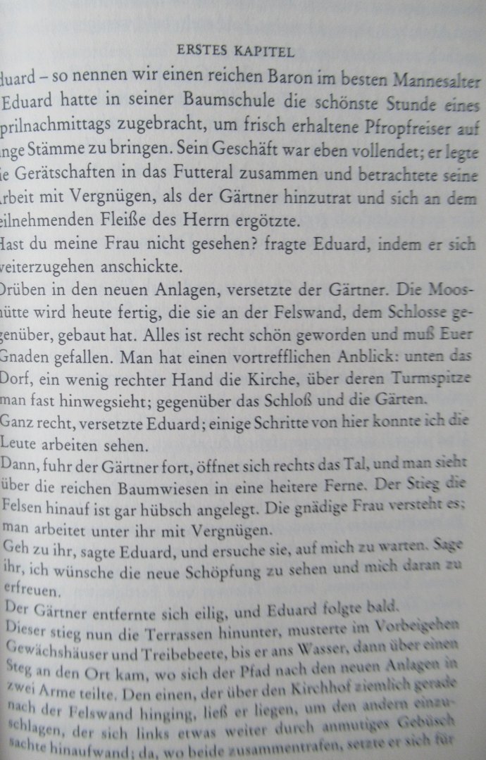 Goethe, Johann Wolfgang von - Die Wahl Verwandtschaften