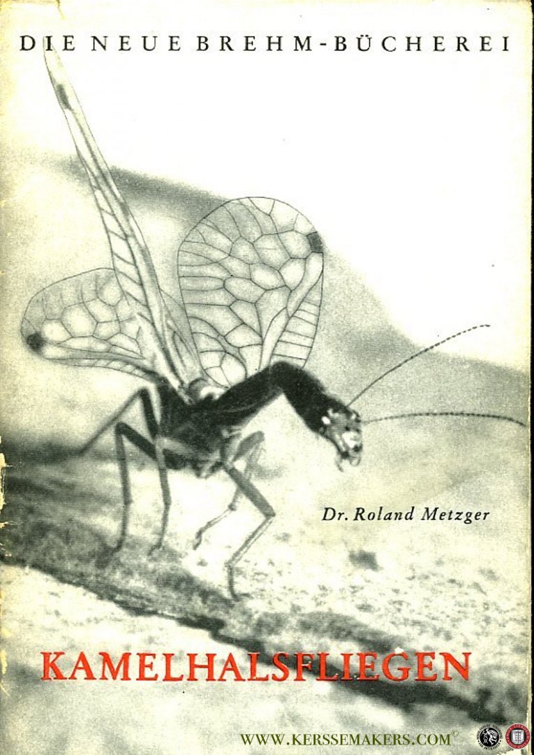 METZGER, Roland - Kamelhalsfliegen (Neuroptera, Raphidiidae). Mit 35 Abbildungen