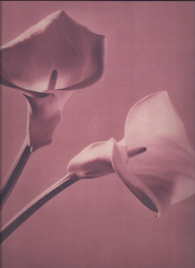 MAPPLETHORPE, Robert - Pistils. Essay by John Ashbery.