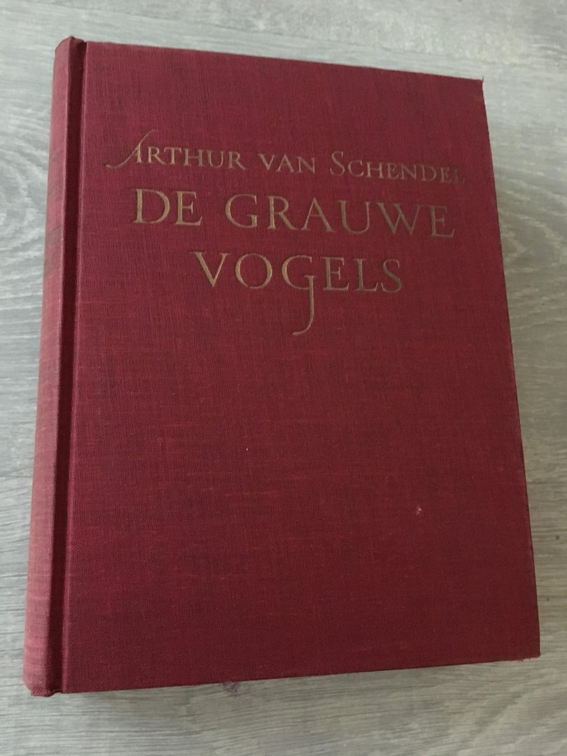 Arthur van Schendel - De Grauwe vogels