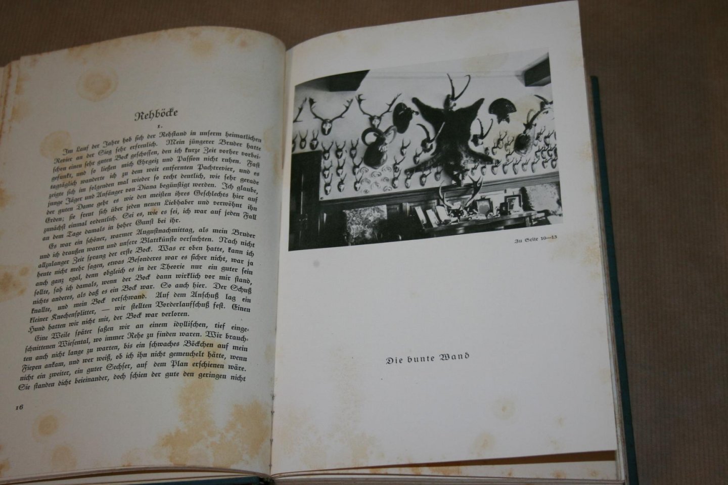 D. Caminneci - Diana, Hubertus und Ich