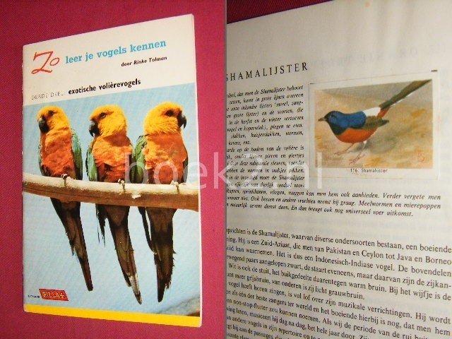 Rinke Tolman - Zo leer je vogels kennen, Derde deel: exotische volierevogels