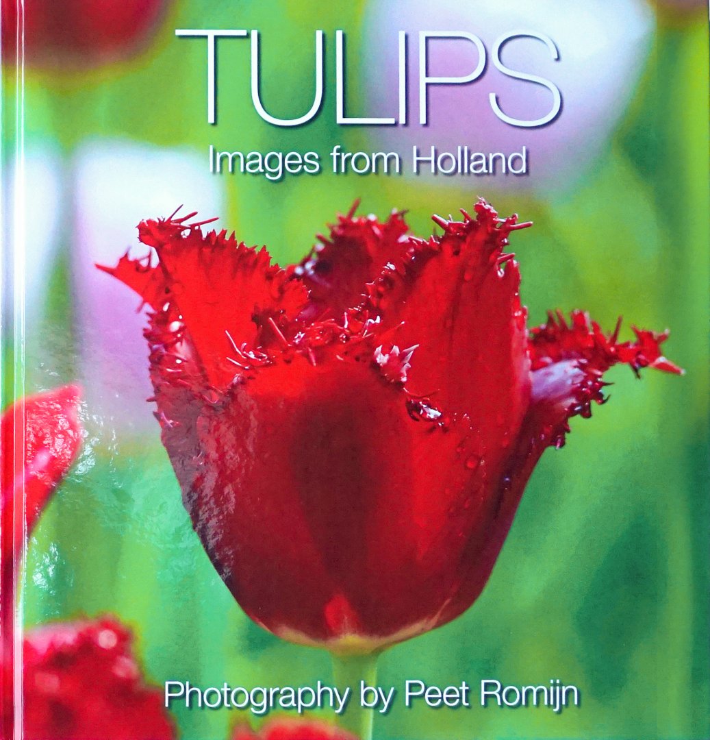 Romijn, Peet - Tulips, images from Holland