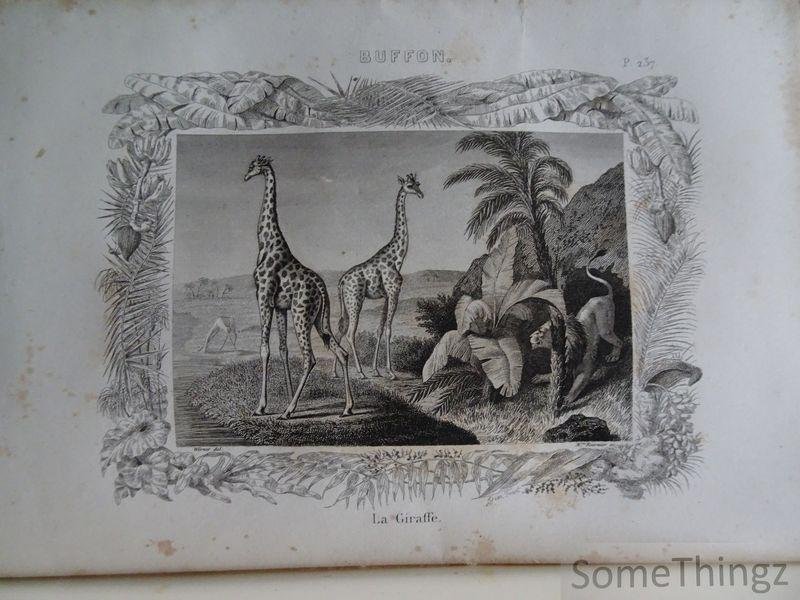 Buffon. - Oeuvres choisis de Buffon. Précédé d'une notice sur sa vie et ses ouvrages par D. Saucié. Edition illustrée par M. Werner.