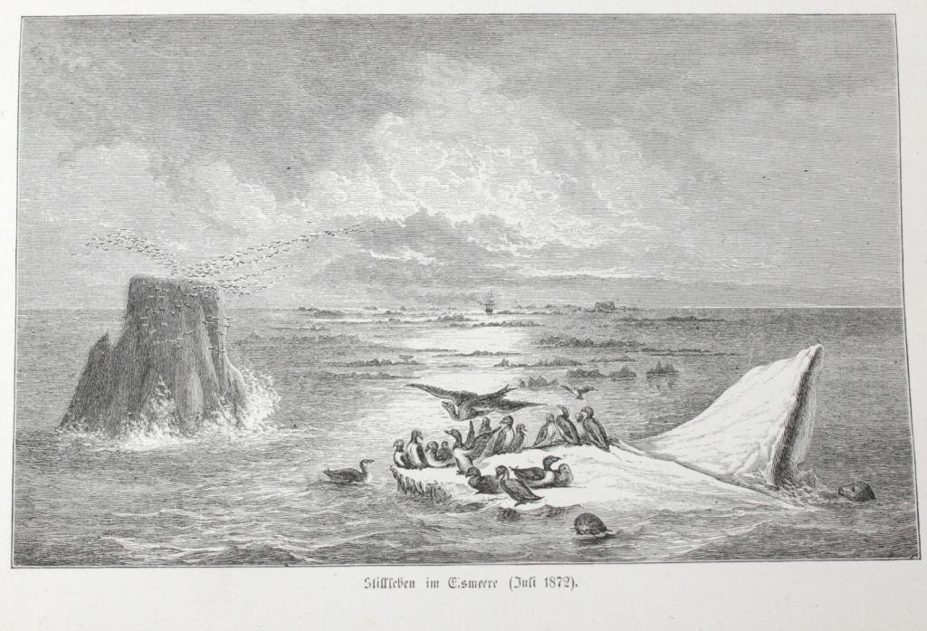 Payer, Julius - Die österreichisch-ungarische Nordpol-Expedition in den Jahren 1872-1874