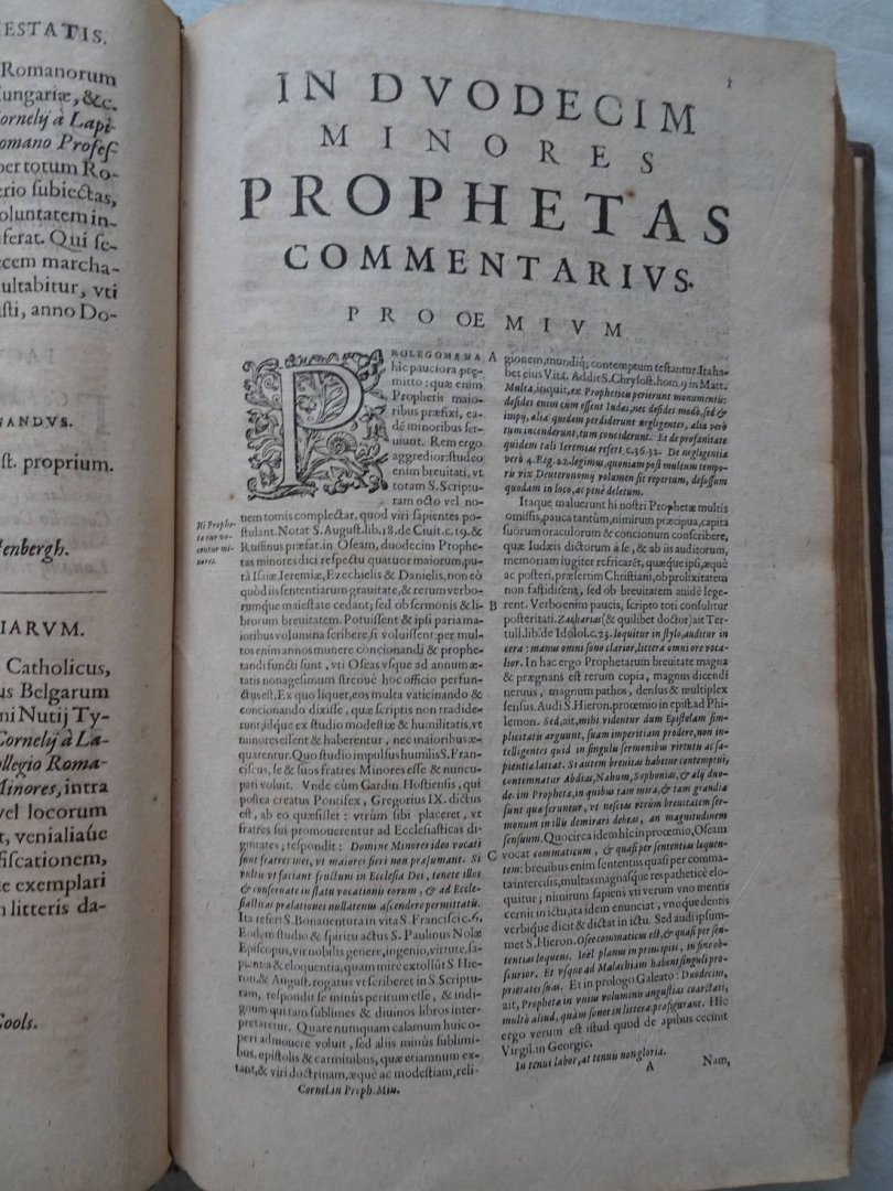 Lapide, Cornelio Cornelii a. - Commentaria in duodecim Prophetas Minores.