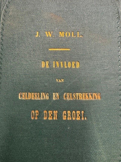 MOLL, J.W., - De invloed van celdeeling en celstrekking op den groei.