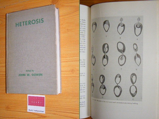 Gowen, John W. - Heterosis A record of researches directed toward explaining and utilizing the vigor of hybrids