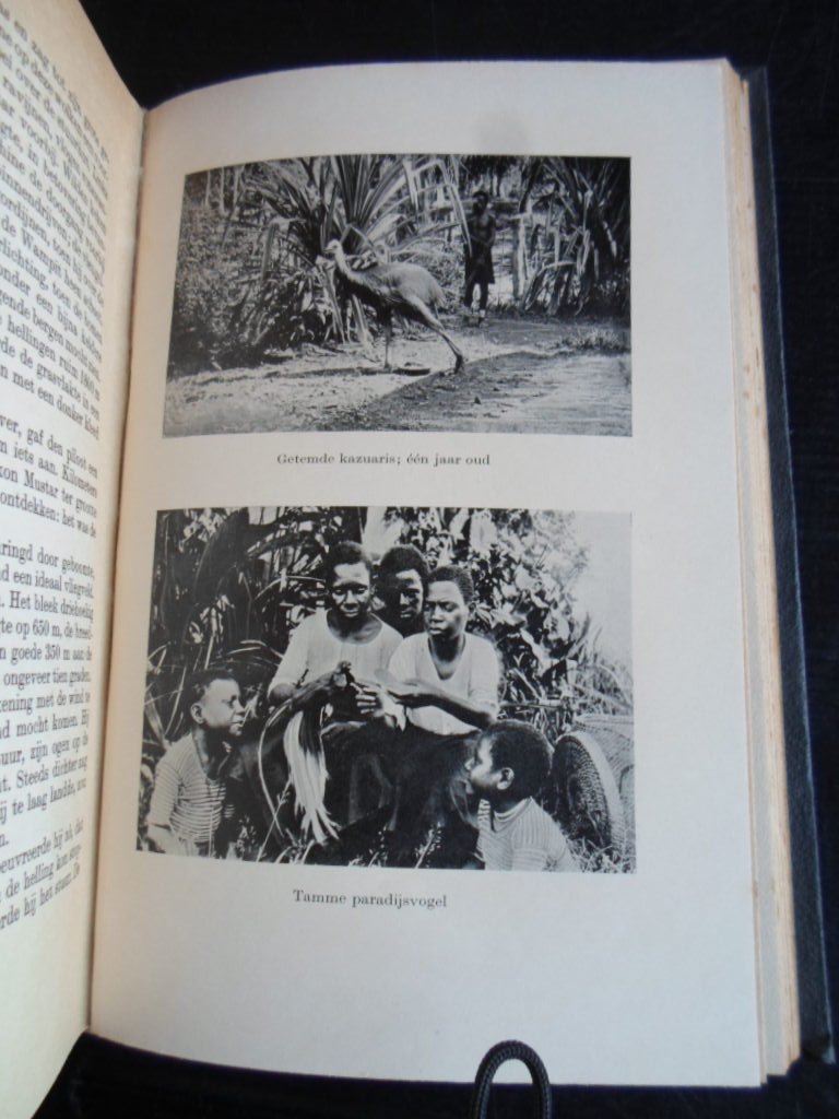 Idriess, Ion L. - Goudzoekers, Het romantische verhaal van de goudvelden in Nieuw Guinea
