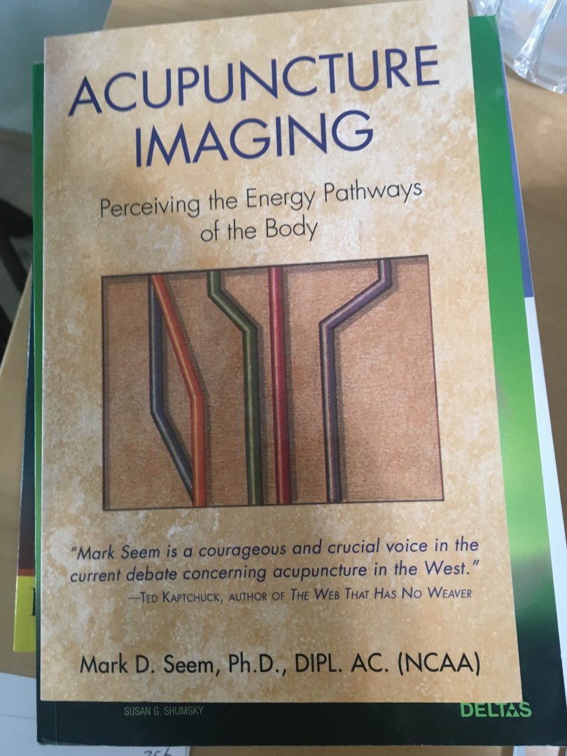 Mark Seem - Acupuncture Imaging / Perceiving the Energy Pathways of the Body