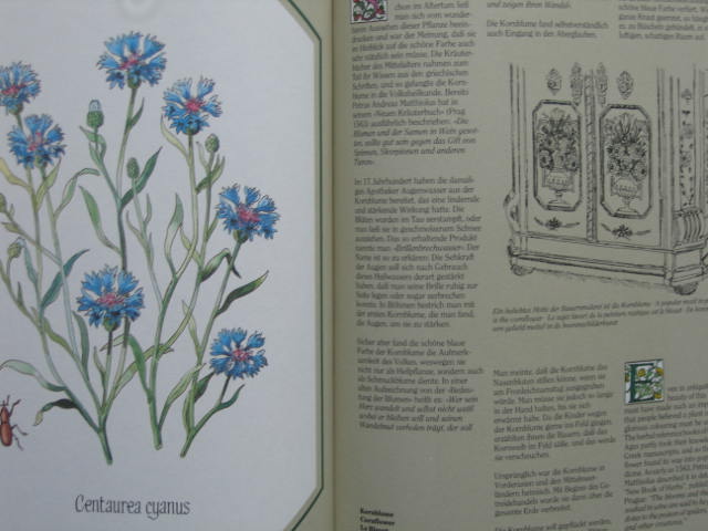  - De Herbis Salutaribus (Plantenverhalen, planzengeschichten, stories of plants, histoires des plantes,