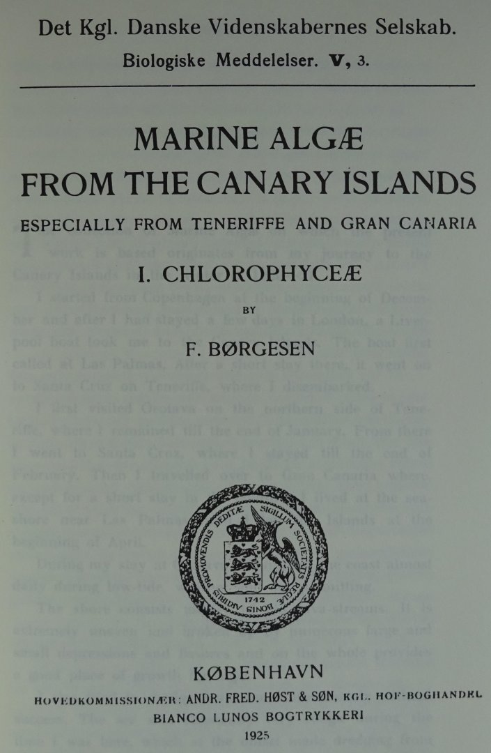 Borgesen, F. - Marine Algae of the Canary Islands. REPRINT [ isbn 906105012X ]