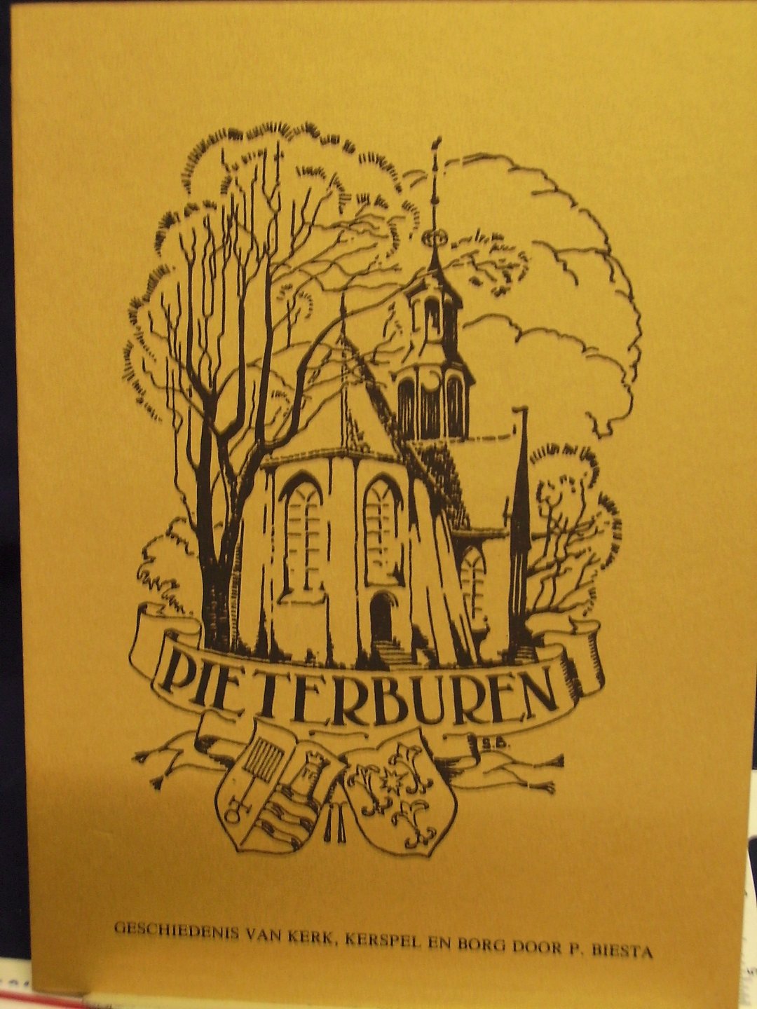Biestra, P. - Pieterburen, geschiedenis van Kerk, Kerspel en Borg