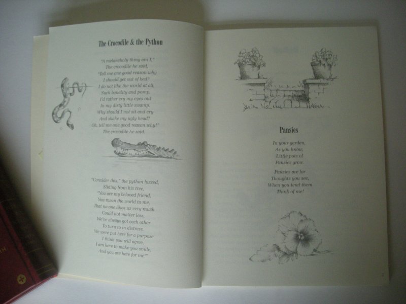 Vaughan-Griffith, Jan, writer and illustrator - Beyond the Chalken Hollow - A Collection of Verse