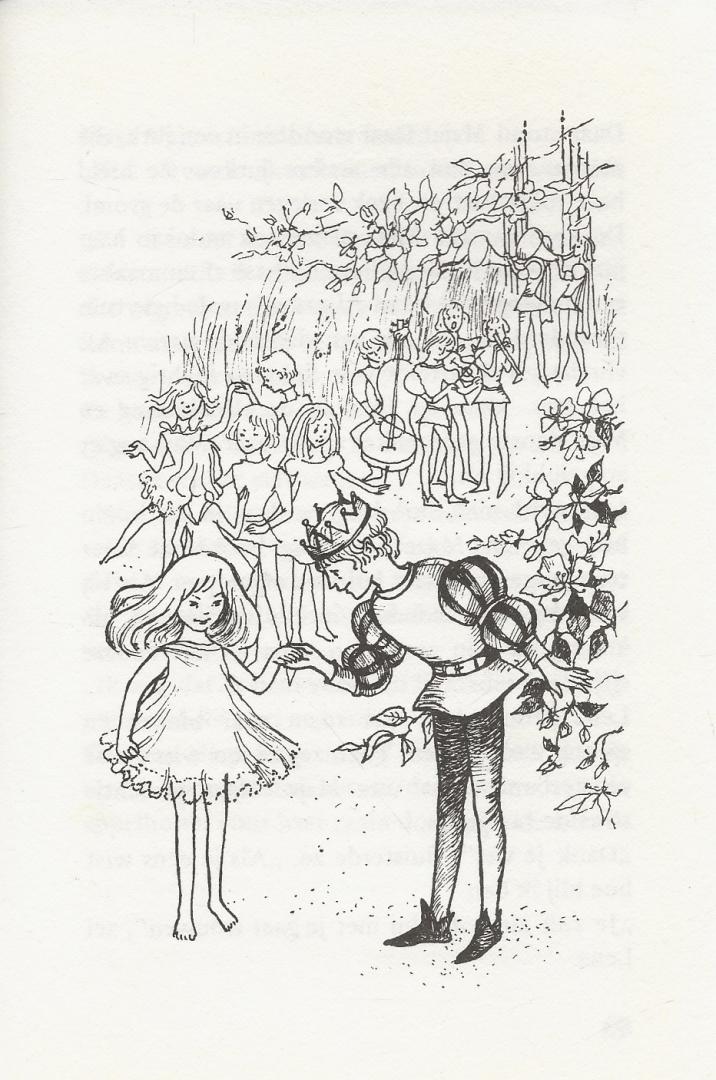 Lindgren, Astrid  (tekst) & (Omslag en illustraties Anneke Hohmann )  en Vertaald door Rita-Törnqvist-Verschuur. - Er zit een Rover in het Bos-bos-bos