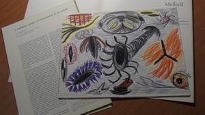 Diverse auteurs - Psychopathologie und bildnerischer Ausdruck (3 mappen) + Psychopathologie de L 'Expression. (3 mappen)