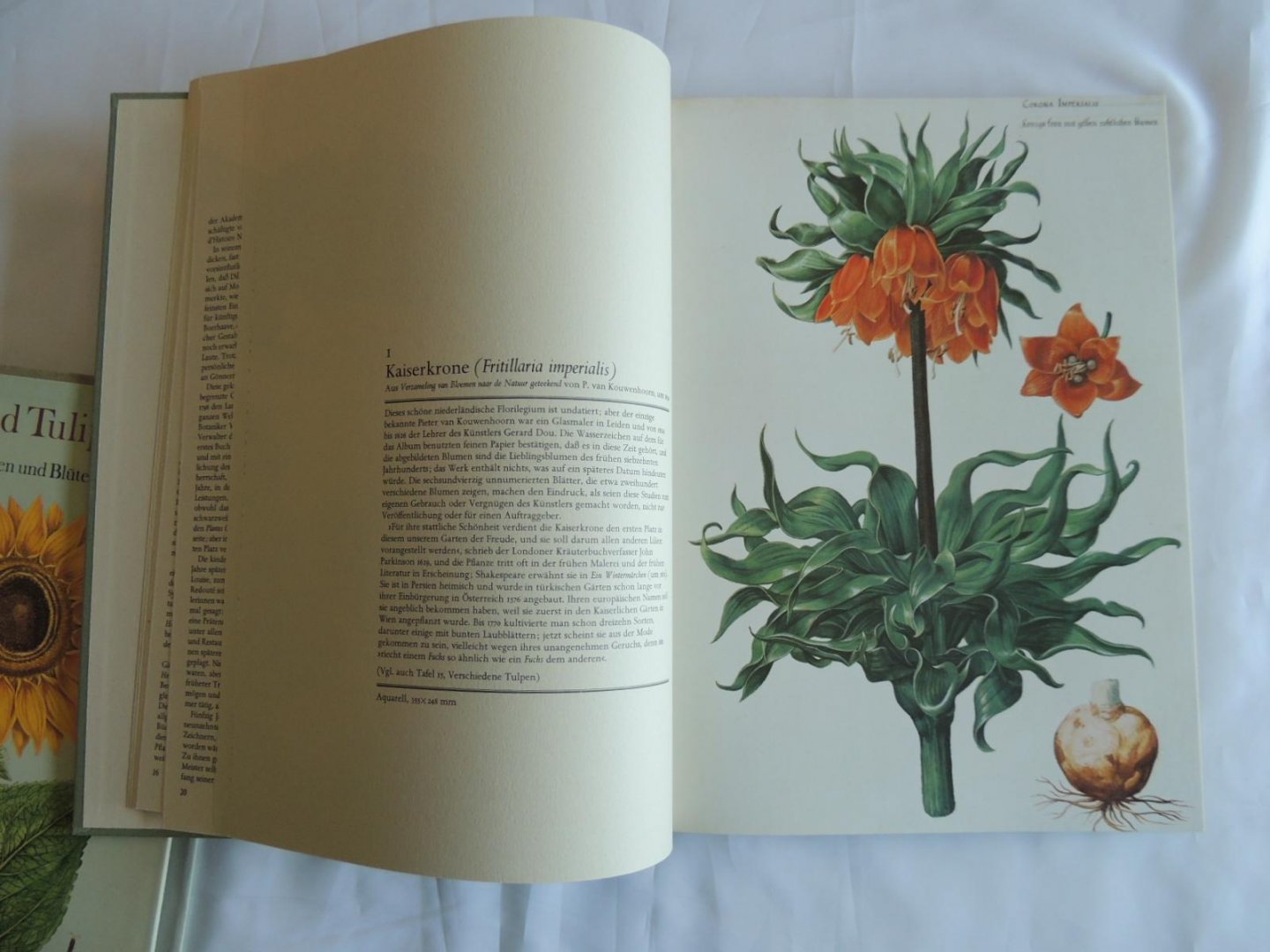 Coats, Alice - Kaiserkron und Tulipan die Schönheit von Blumen und Blüten. Tafeln aus Pflanzenbüchern des 16. bis 19. Jahrhunderts