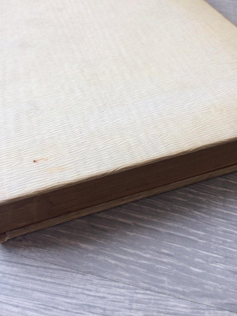 Veltheim - De avonturen van een Fin in Sovjet Rusland