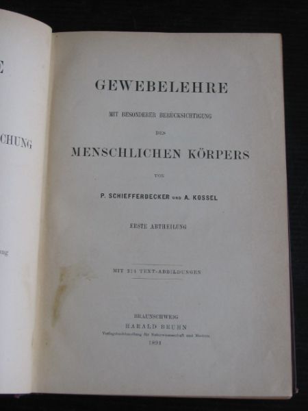 Behrens, W. & A.Kossel &  P.Schieffendecker - Die Gewebe des Menschliches Korpers, Zweiter Band Gewebelehre mit besonderer Berücksichtigung des Menschliches Korpers mit 214 Text-Abbildungen