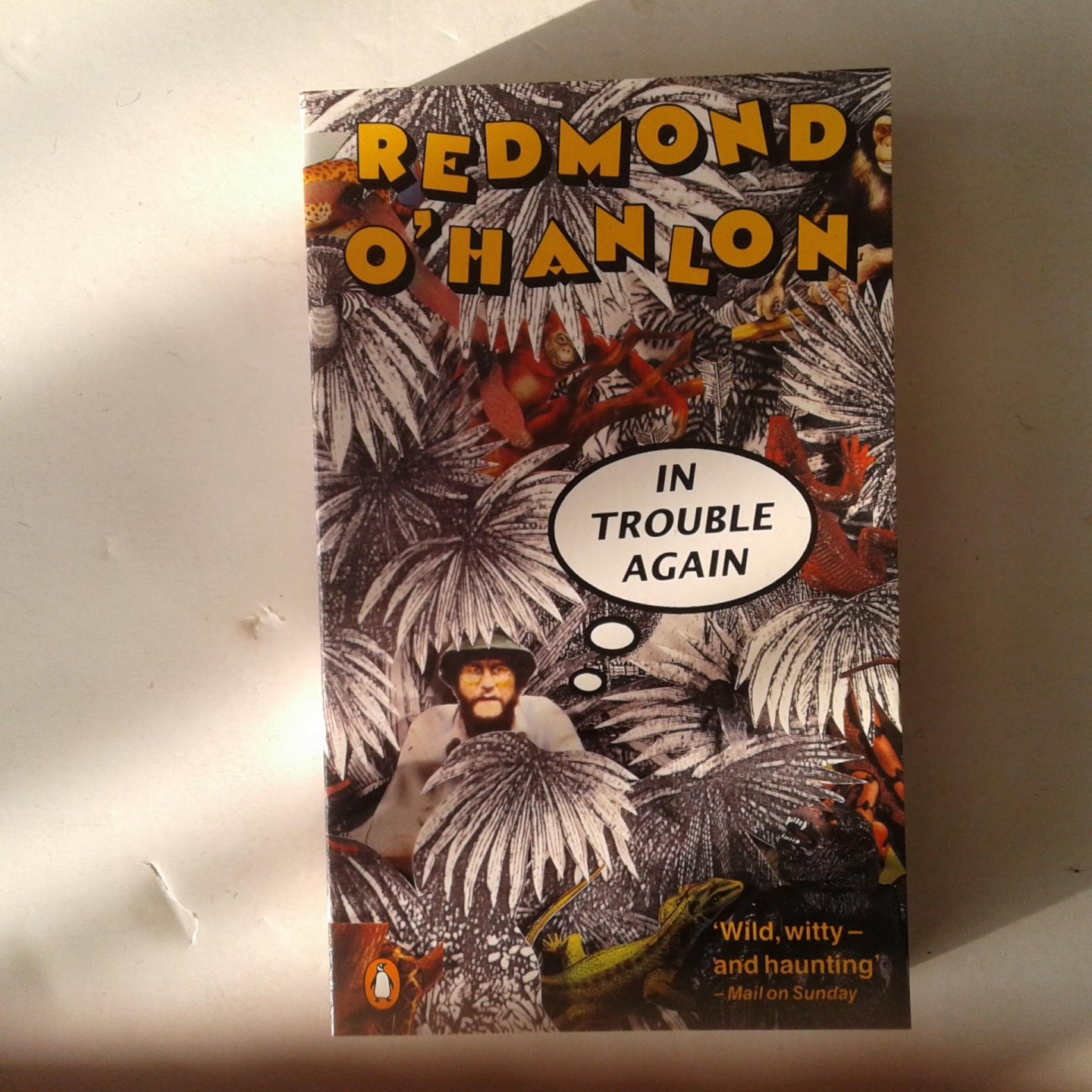 O'Hanlon, Redmond - In Trouble Again