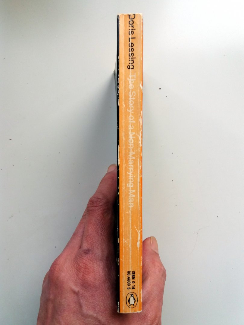 Lessing, Doris - The Story of a Non-Marrying Man (ENGELSTALIG)