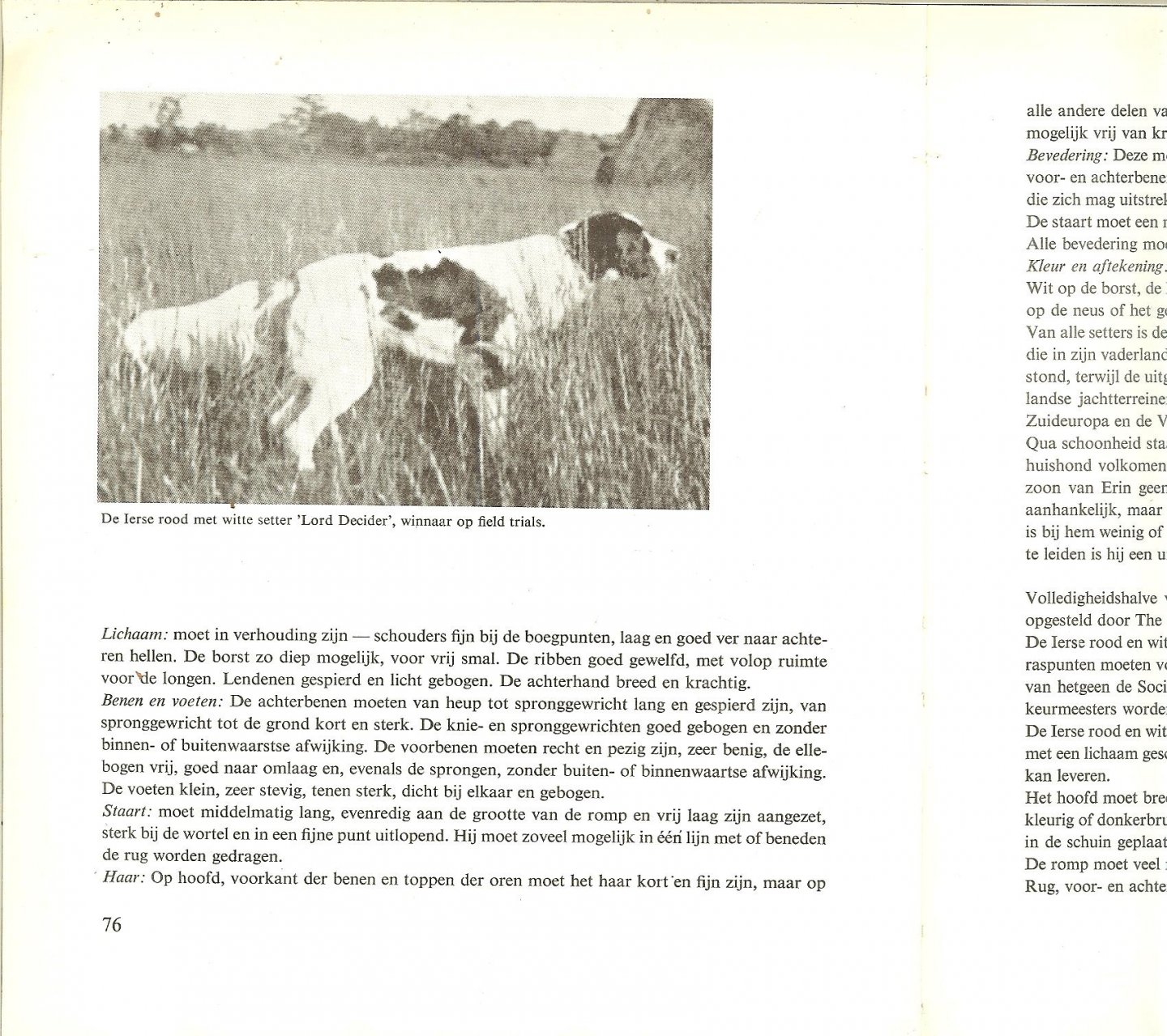 Rheenen, Jan van - De setter.