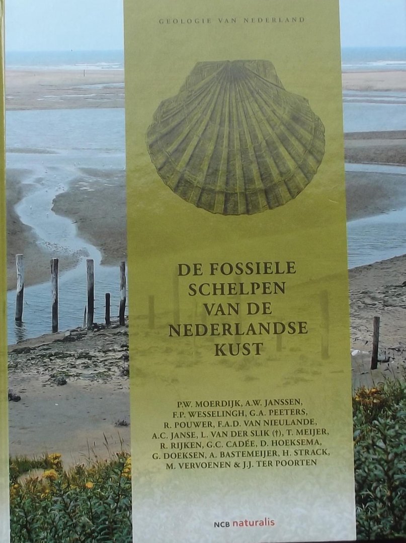 Moerdijk, P.W.. / Janssen, A.W./ Wesselingh, Frank P. e.a. - De fossiele schelpen van de Nederlandse kust - geologie van Nederland