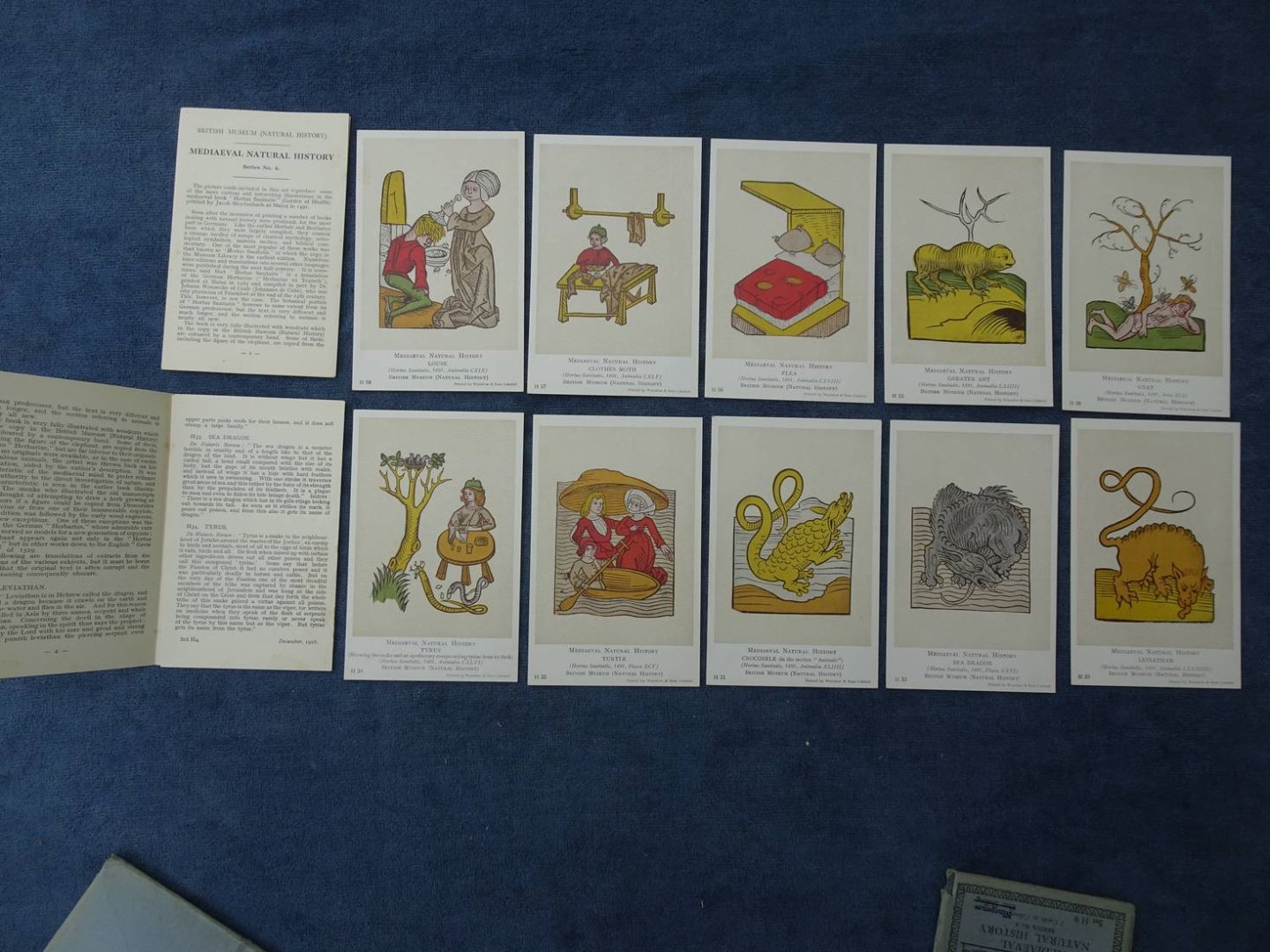 N.n.. - British Museum (Natural History). Mediaeval Natural History. Series no. 1-6. 6x5 cards.