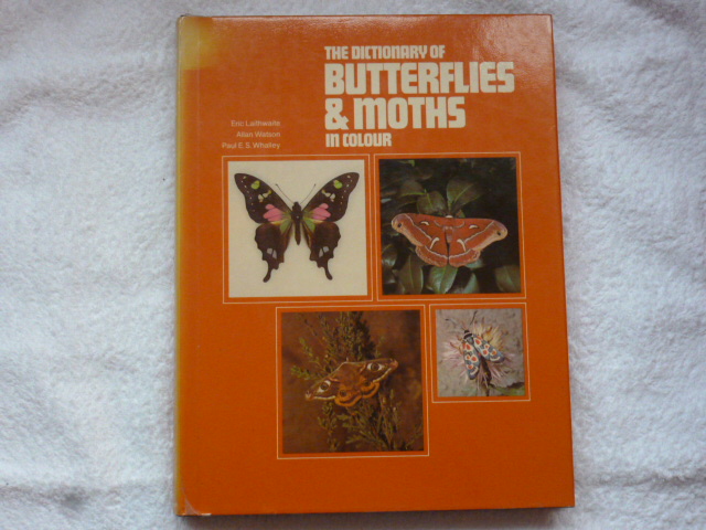 Laithwaite, E - The dictionary of Butterflies & Moths in colour