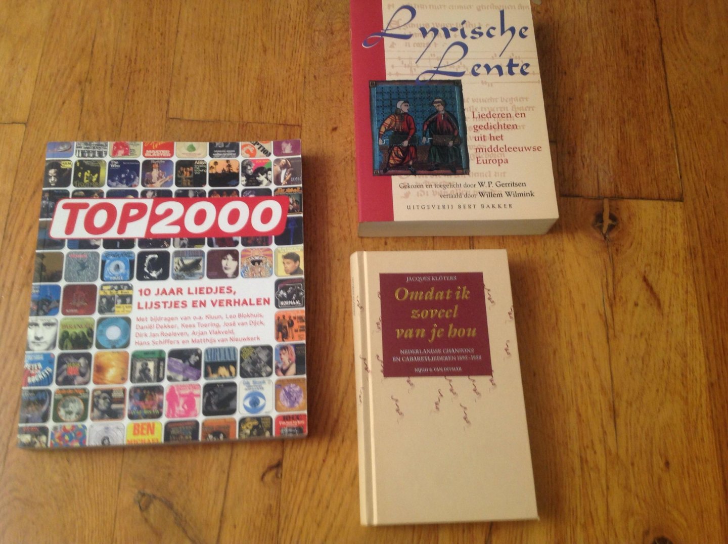 Gerrit seen / Wilmink - Lyrics he Lente