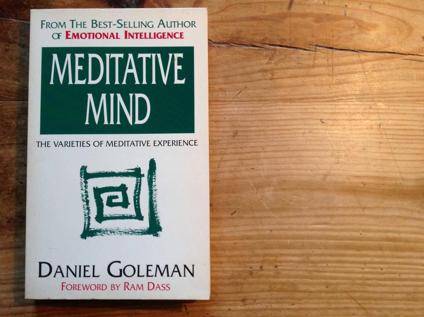 Daniel Goleman - Meditative mind