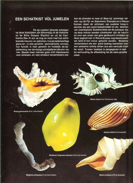 Reader's Digest Redactie en Bandontwerp Rein van Looy - De Wondere Wereld der Natuur