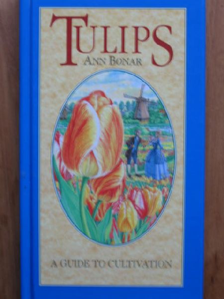 Bonar, Ann - Tulips