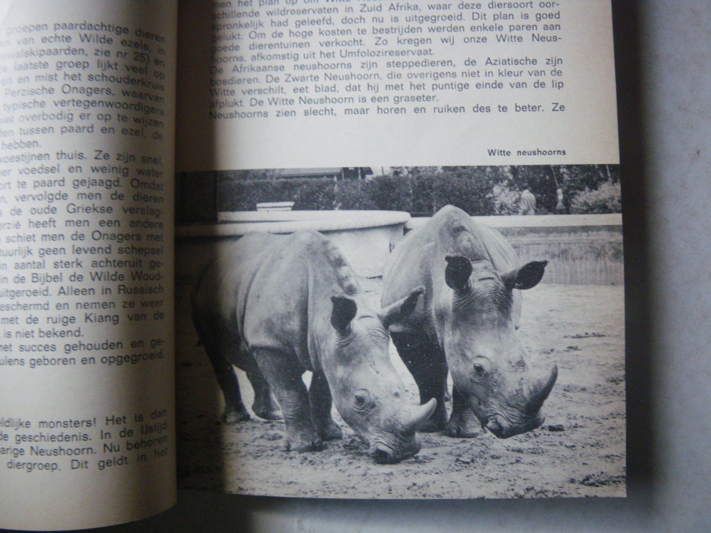 Bemmel A.C.V. van , Zwieten K. van - Zoo Blijdorp Gids en plattegrond