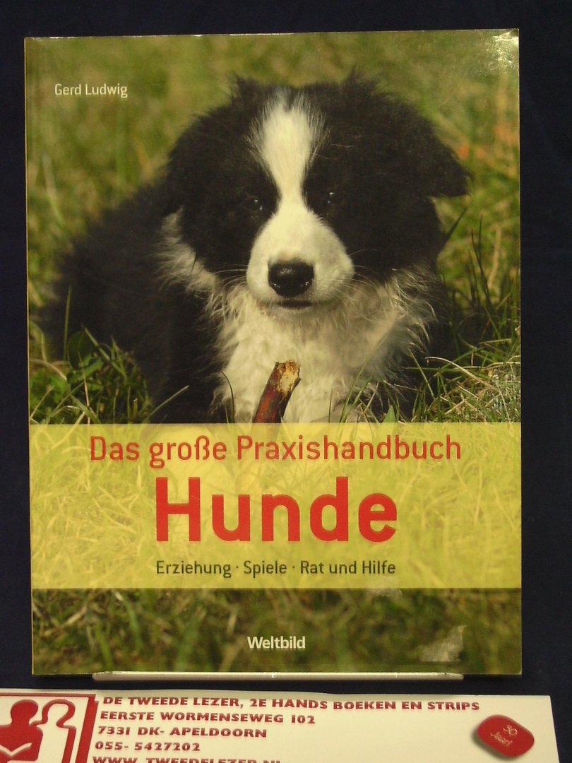 Ludwig, Gerd - Das grosse Praxishandbuch Hunde ; Erziehung-Spiele-Rat und Hilfe