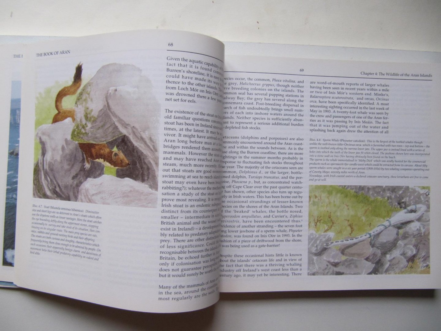 Waddell - O'Conell - Korff - The Book of ARAN, the Aran-Islands