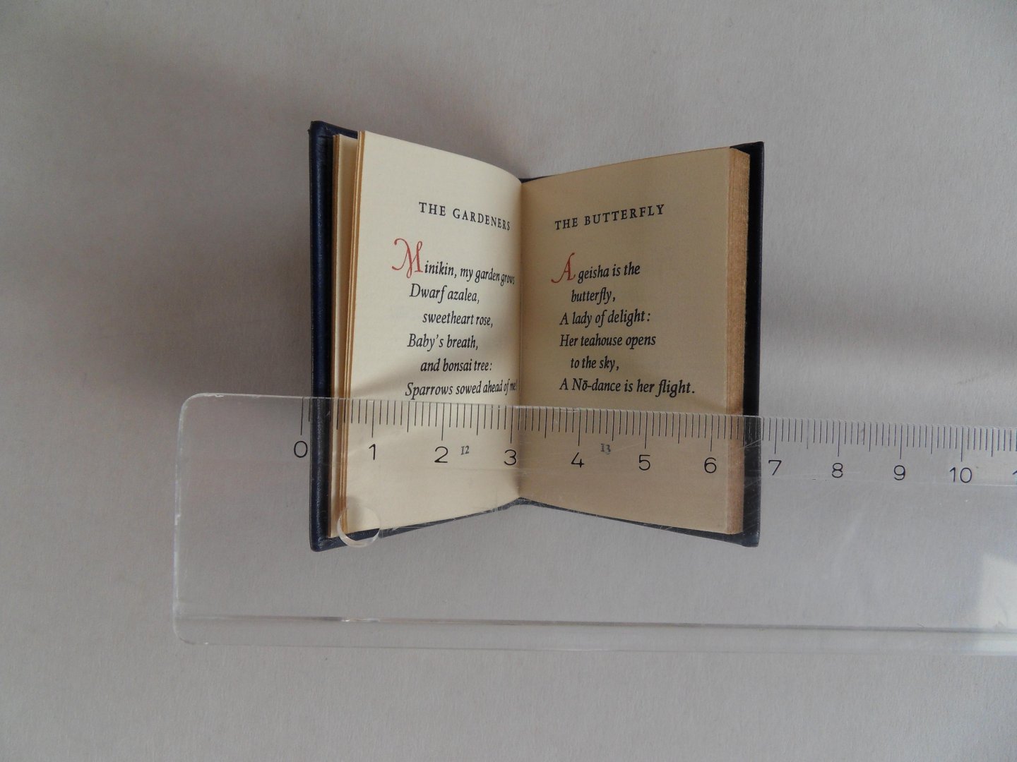 Swann, Thomas Burnett. - Alas, in Lilliput. - Lilliputian Lyrics. [ Oplage van 500 exemplaren - 500 copies only ].