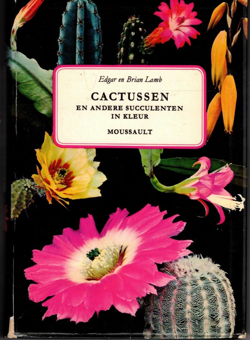 Lamb, Edgar en Brian - Cactussen en andere succulenten in kleur