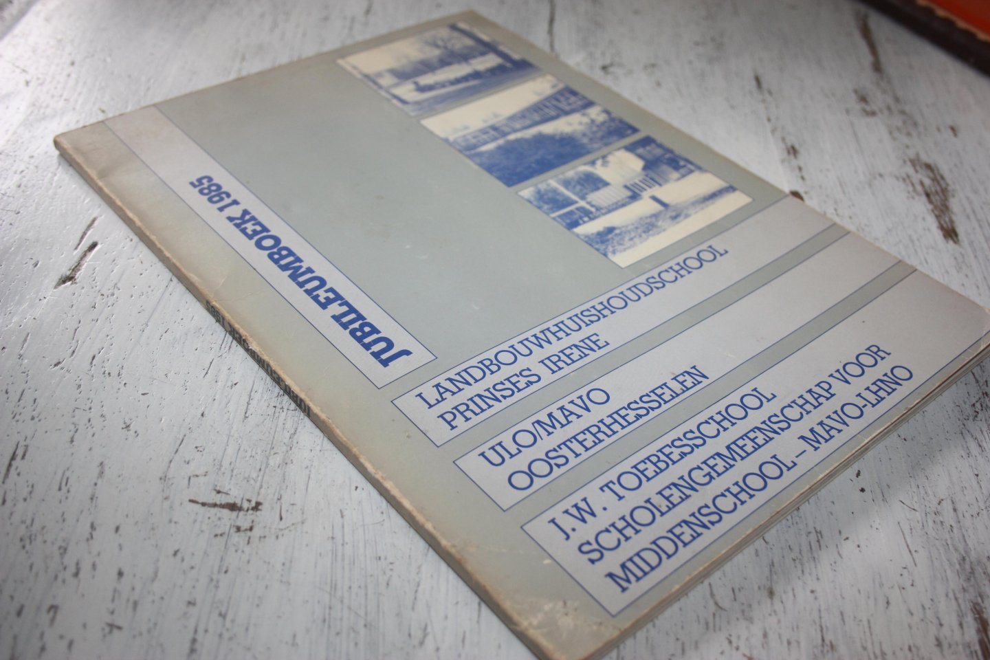 Euving, B.R.; Ensink, F.H.; Lesschen, H.J. - Jubileumboek 1985 LANDBOUWHUISHOUDSCHOOL PRINSES IRENE; ULO-MAVO OOSTERHESSELEN; J.W. TOEBESSCHOOL