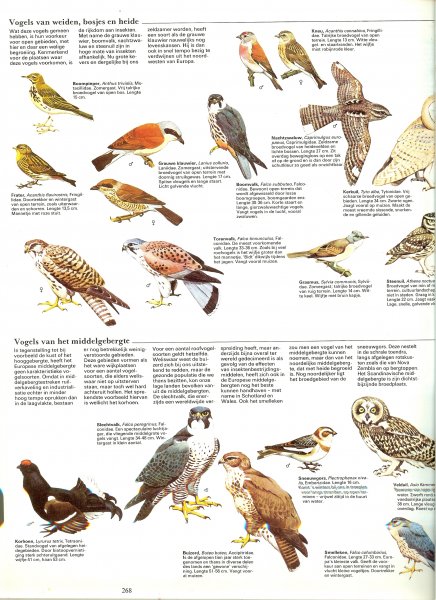 Michler, Dr.G en Ruud Rook met prachtige  kleuren foto's een boe om in te grasduinen - De natuur van Europa