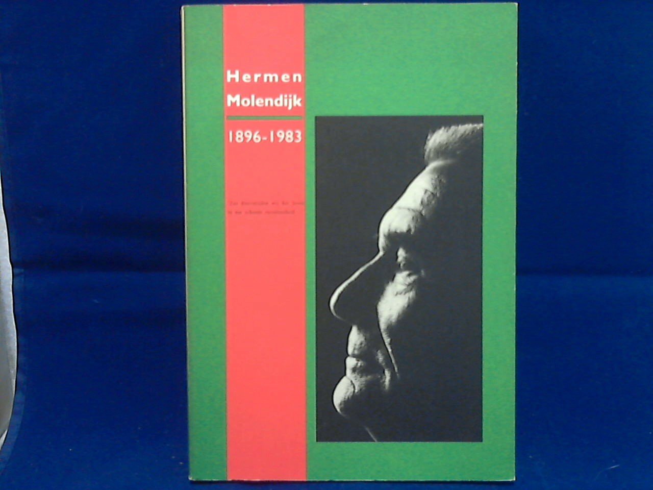 Hoen Paulien 't/ Soeters Nanon, samenstelling en redactie - Hermen Molendijk 1896-1983