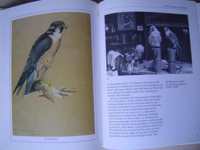 John Savory - George Lodge artist naturalist