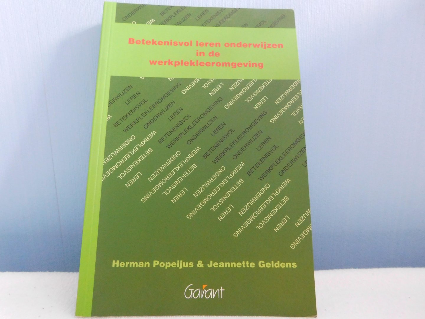 Popeijus, Herman L., Geldens, Jeannette J.M. - Betekenisvol leren onderwijzen op de werkplekleeromgeving