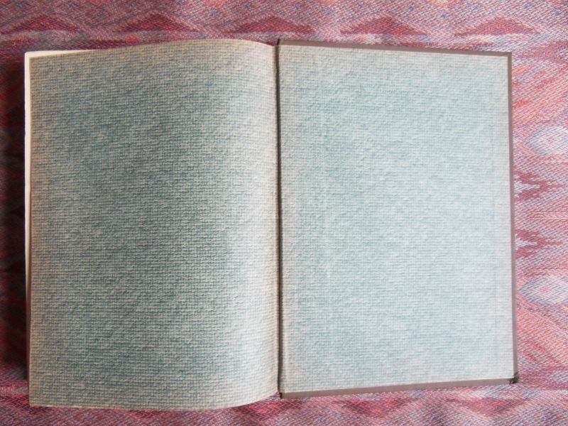 Bekker, A., wed. Wolff en Deken, A. - Naverteld door Mevr. van Westrheene. - Historie van Willem Leevend.