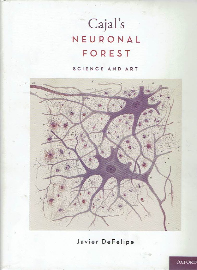 CAJAL, Santiago Ramón y - Javier DEFELIPE - Cajal's Neuronal Forest - Science and Art.