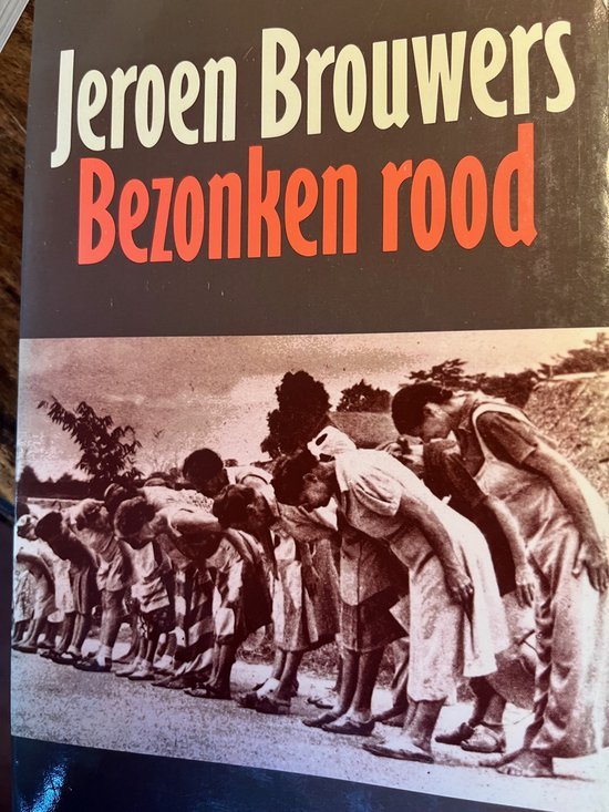 Jeroen Brouwers - Bezonken rood