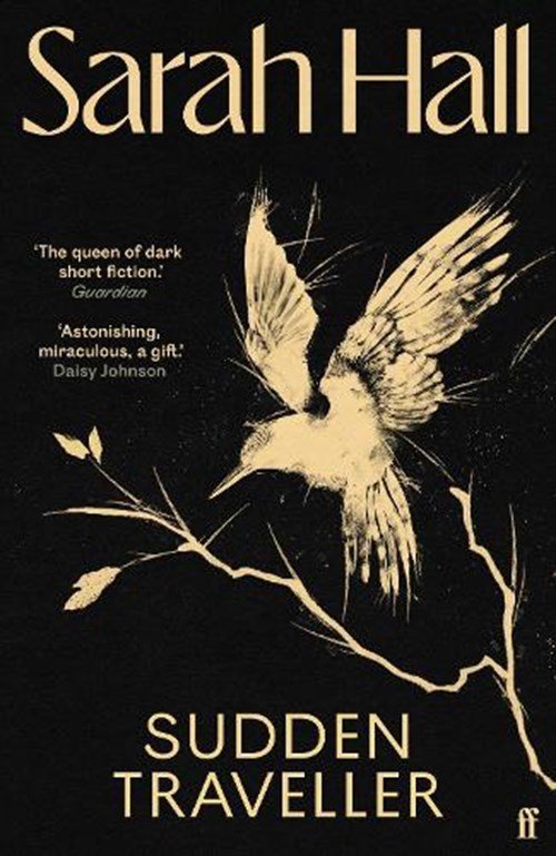 Sarah (Author) Hall - Sudden Traveller