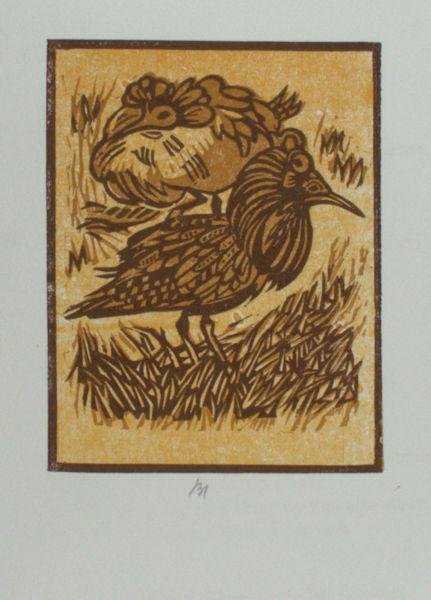 Wijs, Ivo de. - De kemphaan.